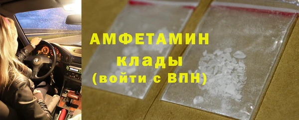 спиды Богородицк