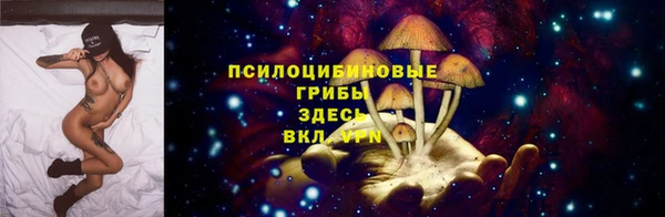 таблы Богородск