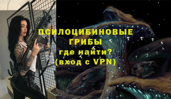 таблы Богородск
