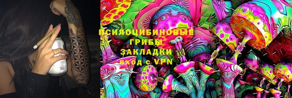 спиды Богородицк