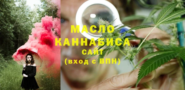 спиды Богородицк