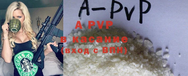 спиды Богородицк