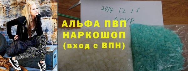спиды Богородицк